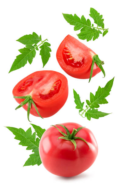istock flying fresh tomatoes with green leaves isolated on white background. clipping path 1914136659