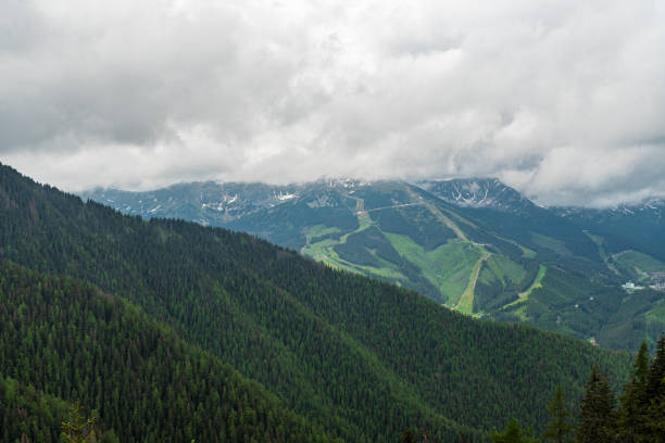 view from puste hill in low tatras mountains in slovakia - chopok zdjęcia i obrazy z banku zdjęć