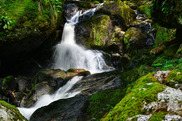 istock a hike through the wild Ysperclam 1914136968