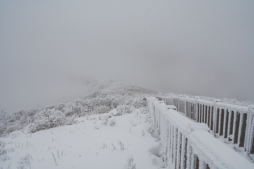 Snow-covered park with a bench buried in snow