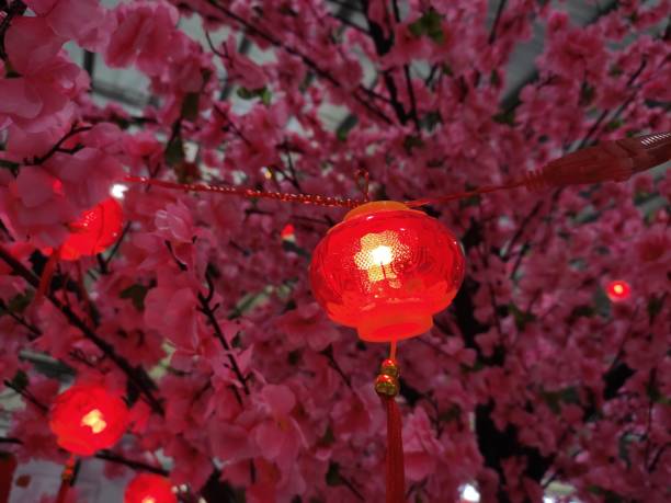 istock Chinese New Year Decoration 1914195852
