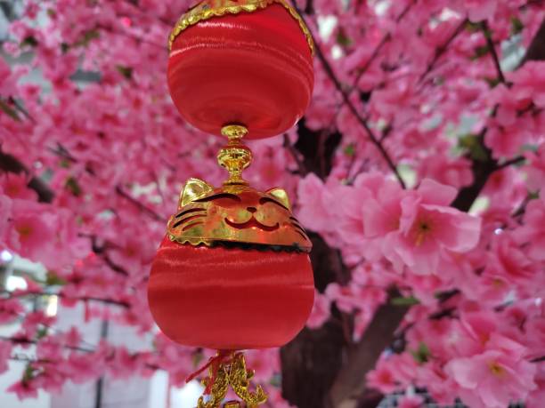istock Chinese New Year Decoration 1914195854