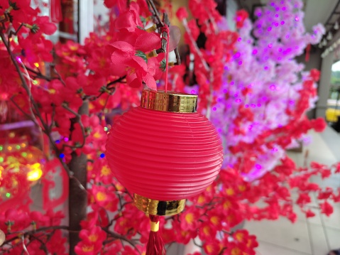 Decoration for Lunar New Year Festival