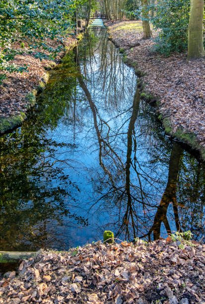 istock the water is blue and surrounded by trees on its sides 1914235383