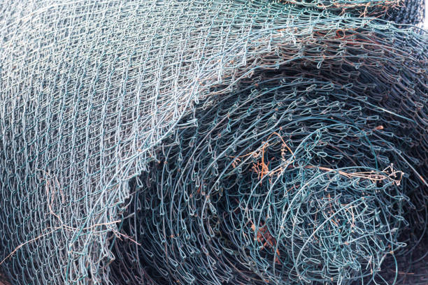 istock Steel mesh for a fence, rolled into a roll, close-up. 1914259989