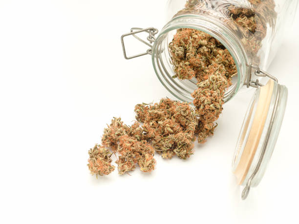 istock Dry cannabis buds outside of a jar on a white background. 1914261005