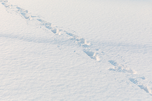 Winter snow covers the ground,A fairytale-like snowscape