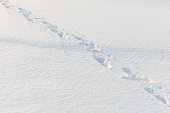 Footprints in the deep snow of winter