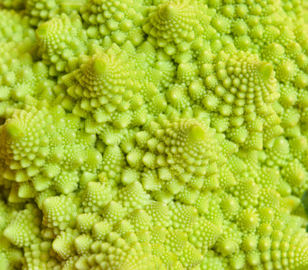 Romanesco broccoli Psychedelic Romanesco broccoli pattern close up. fractal plant cabbage textured stock pictures, royalty-free photos & images