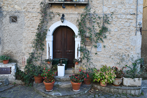 Street view of medieval town. Fragment of facade with wooden door decorated with stone arch. Plants in pots. Cobblestone. Yellow shabby wall.