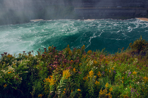 View of the raging water of Niagara Falls and the lush bloom of flowers on the cliff.