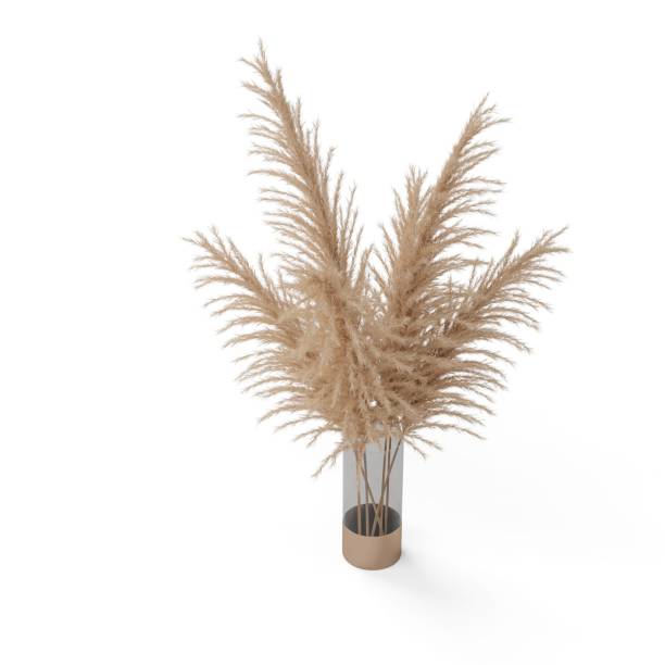 istock 3D rendering of a vase with brown plants on a white background 1914496228