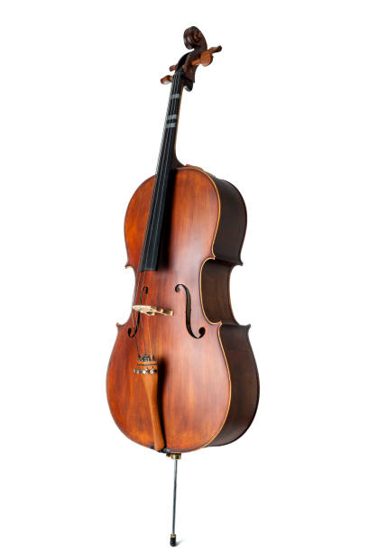 Wooden cello isolated on a white background