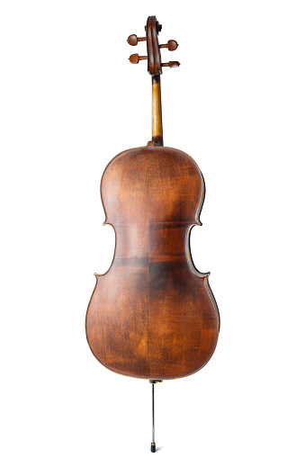 Wooden cello isolated on a white background rear view