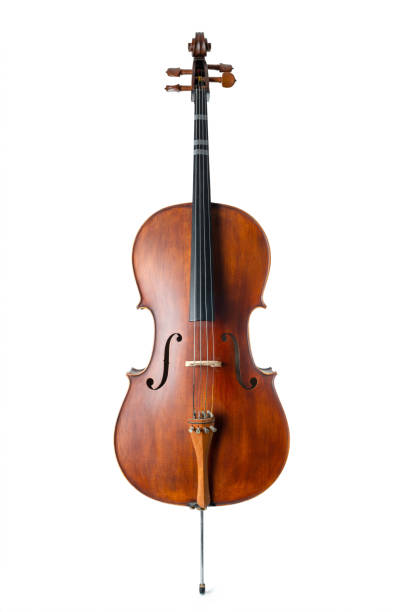 istock Wooden cello isolated on a white background 1914517805