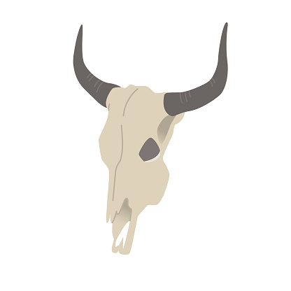 Cow skull. Traditional decor for the Wild West. Vector skeleton of a buffalo head
