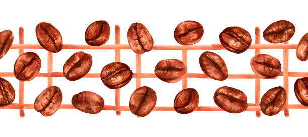 ilustrações, clipart, desenhos animados e ícones de seamless border of coffee beans.aroma of robusta and arabica varieties.international coffee day.natural aromatic drink. seamless stripe for cafe. - backgrounds bean drink caffeine