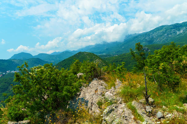 beautiful mountains, summer landscape, clouds, forest on the hillsides