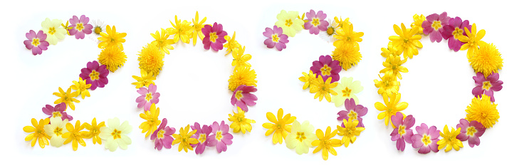 year date 2030 made of yellow, orange and pink flower. floral lettering can be used as poster, postcard, voucher, coupon, present, celebration invitation happy new year party. freshly real blossom