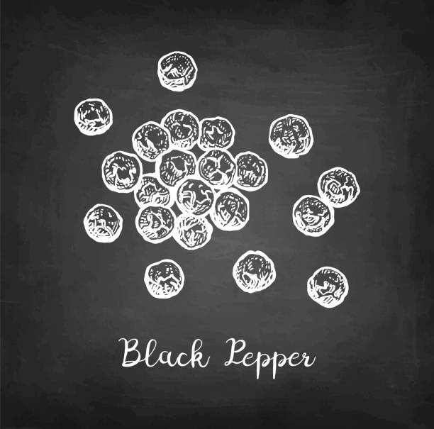 黒胡椒チョークのスケッチ。 - pepper spice black peppercorn white background点のイラスト素材／クリップアート素材／マンガ素材／アイコン素材