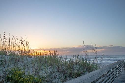 Beach Scene at Sunrise-Hilton Head, South Carolina