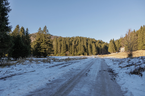 Panoramic view on a plain area in the Slovenian mountains, with the ground frozen and covered by the snow and surrounded by old coniferous forests, under a clear sky, in the morning, during winter