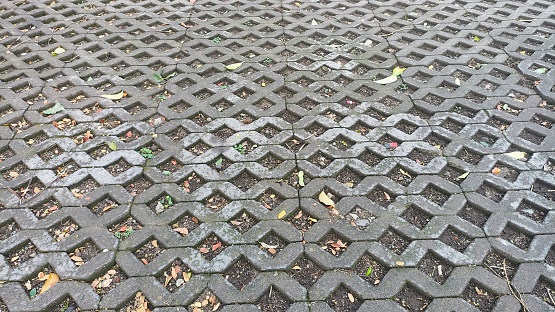 Background from paving slabs with grass sprouting through them. Stone tiles on the sidewalk. Footpath. Textured patterned background. Eco-friendly covering - concrete lawn grating