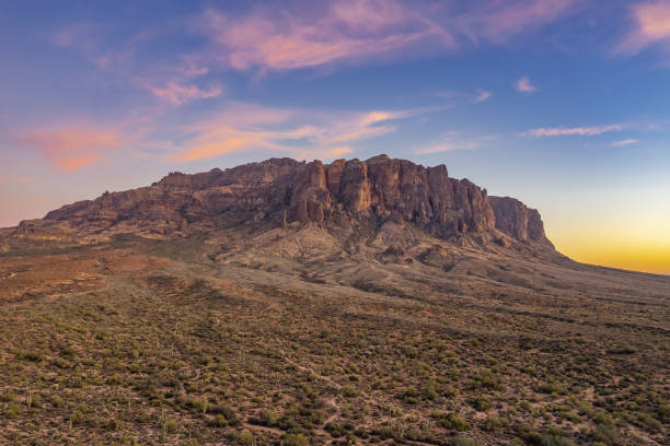 istock Arizona Desert Saguaro Cactus 1914652534