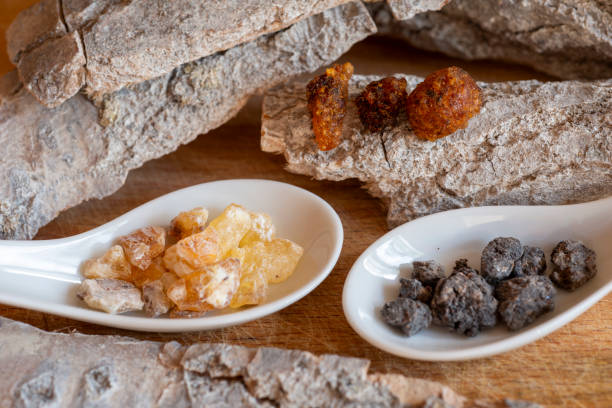 various incense resin chunks on small plates - boswellia - used as medicine