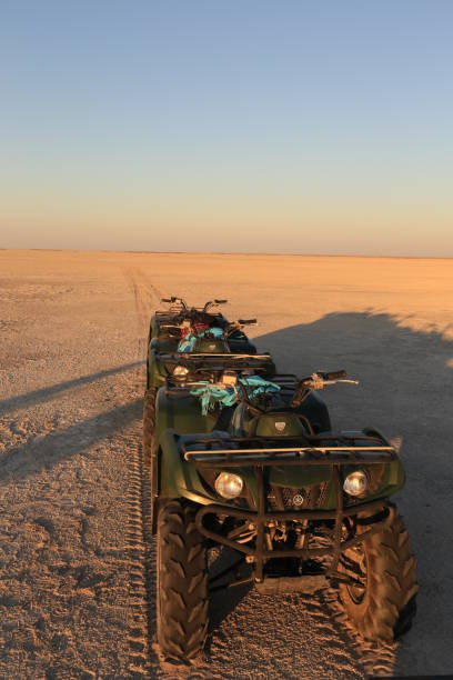 istock quad bikes in a row in a salt flat 1914678723