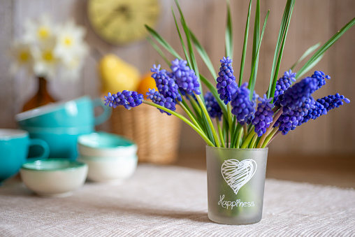 Grape hyacinth bouquet with spring deocration on table