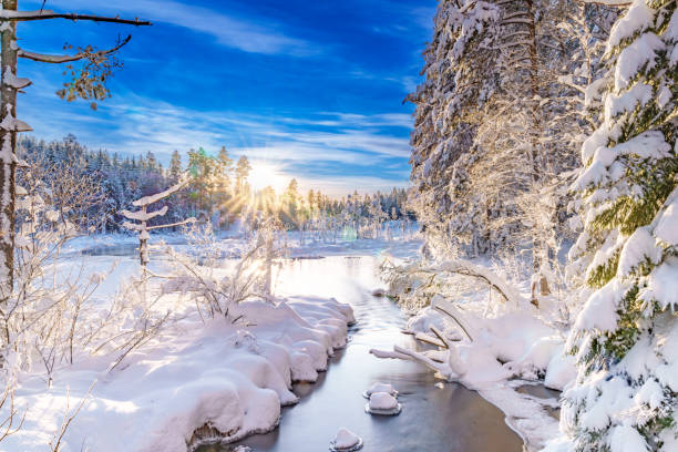 istock River flowing through the winter forest in Sweden 1914745358