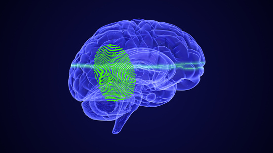 As a disease, chronic pain is seen to arise from a localized lesion in the brain. They are not quite saying that brains feel pain, but that brains (when disordered) make us feel chronic pain. Giving pain a home in the brain may provide benefits in the form of new therapeutic targets. Imagine lying inside a massive functional magnetic resonance imaging (fMRI) machine, your head surrounded by a 10-foot-wide white magnetic doughnut. While you lie there, daydreaming, the scientists in the room next door monitor the patterns of activity that flicker around in your brain.