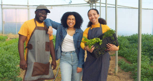 Portrait of three farmers smiling and posing on farm, greenhouse tunnels stock photo