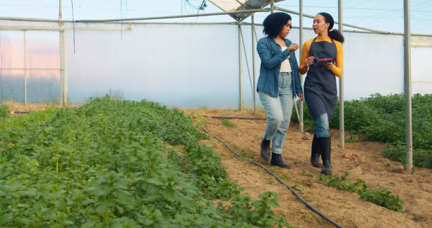 Two women farmers walking and talking, discuss data analysis with digital tablet. High quality photo