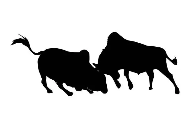 Vector illustration of Bull silhouette vector. Bullfighting vector. Bull vector.