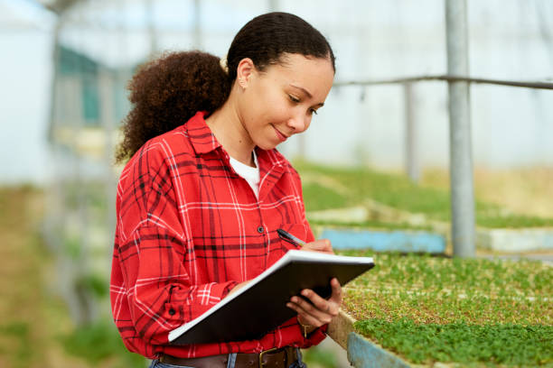 istock Multi-ethnic female farmer in greenhouse, writing notes, crops in background 1914846309