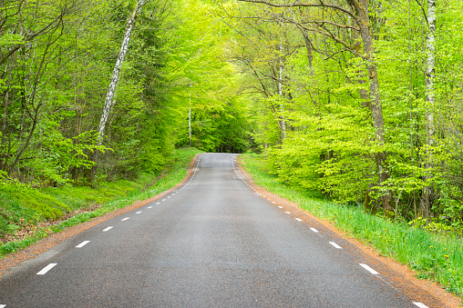 Springtime road in Halland, Sweden.