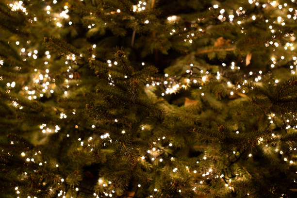 istock Gilded Elegance: A Sparkling Holiday Night with Christmas Splendor 1914852507
