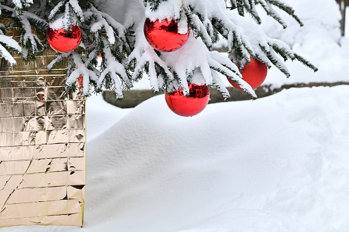 Part of outdoor Christmas tree under snow