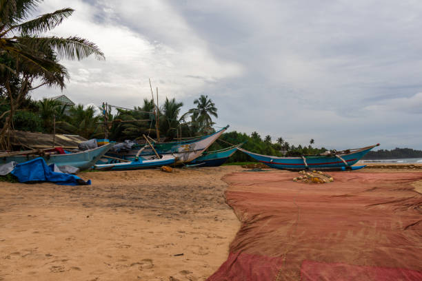 istock Indian Ocean Coast Sri Lanka 1914890548
