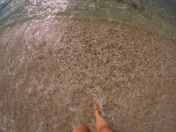 istock Walking in to the sea 1914897238