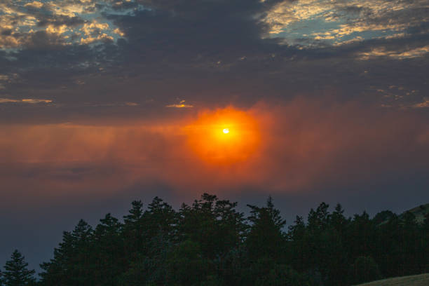 Coastal Foggy Sunset stock photo