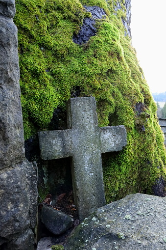 A stone roadside cross embedded in an ancient, moss-covered tree.