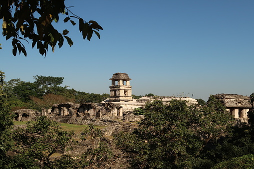 The Palace/El Palacio in the morning sun at the archaeological site of Palenque from a distance, Mexico 2022