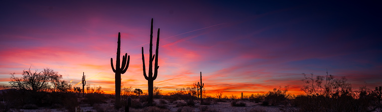 A serene sunset over an arid landscape featuring a sprawling field of shrubs and cacti