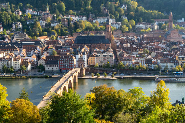istock Germany, Heidelberg landscape old town 1915039697