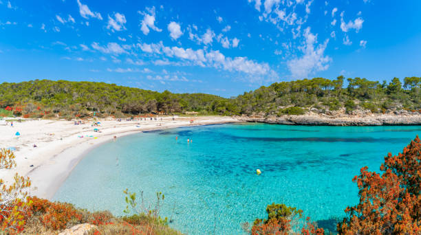 istock Landscape with Cala Mondrago, Majorca island 1915039707