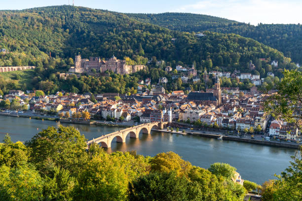 istock Germany, Heidelberg landscape old town 1915039709