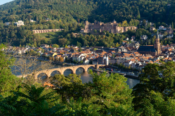 istock Germany, Heidelberg landscape old town 1915039712
